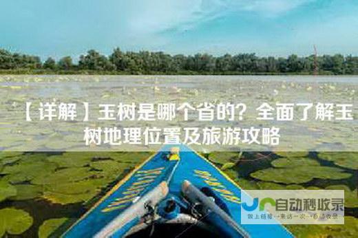 玉树网：探索玉树藏区，感受藏族文化魅力
